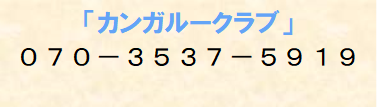 お電話でのお問合せ　TEL：070-3537-5919